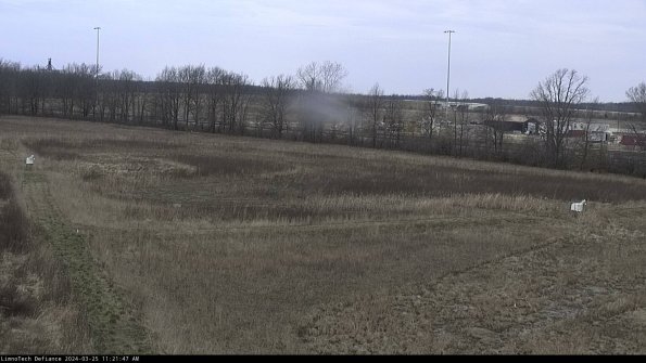 Cell 2_24-03-25_11-21-47-59