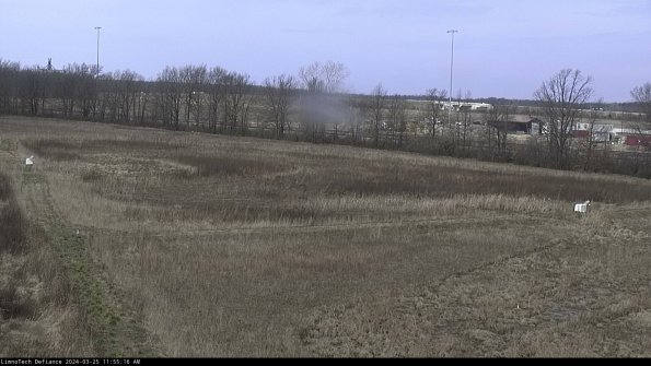 Cell 2_24-03-25_11-55-16-54