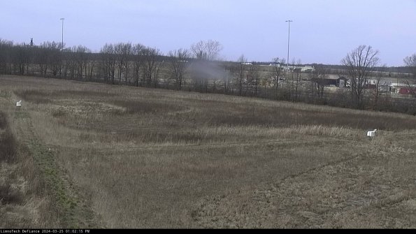 Cell 2_24-03-25_13-02-15-51