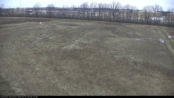 Cell 3_24-03-25_09-08-18-75