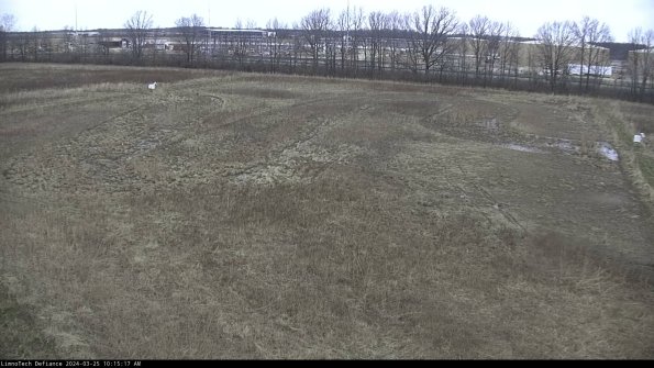 Cell 3_24-03-25_10-15-17-52