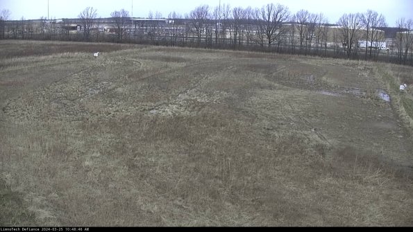 Cell 3_24-03-25_10-48-46-77