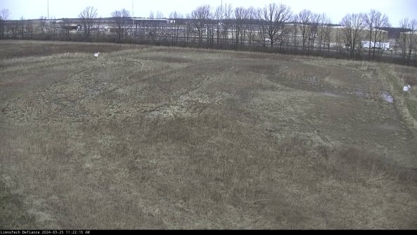 Cell 3_24-03-25_11-22-15-48