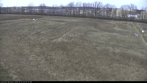 Cell 3_24-03-25_15-50-10-51