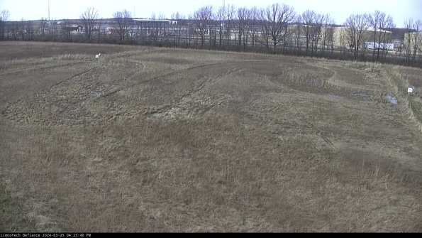 Cell 3_24-03-25_16-23-40-50