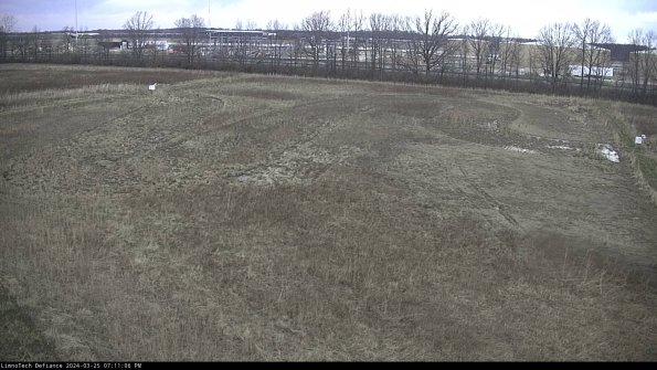 Cell 3_24-03-25_19-11-06-76