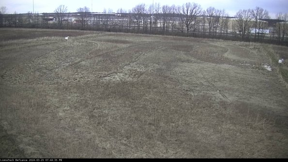 Cell 3_24-03-25_19-44-35-51