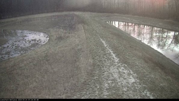 Cell 4 to Basin_24-03-25_07-28-48-54