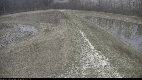 Cell 4 to Basin_24-03-25_09-09-16-51