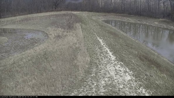 Cell 4 to Basin_24-03-25_13-37-11-52