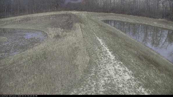 Cell 4 to Basin_24-03-25_16-24-38-52