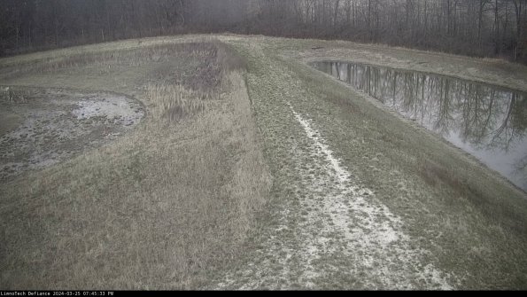 Cell 4 to Basin_24-03-25_19-45-33-50