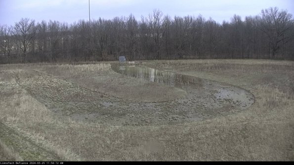 Cell 4_24-03-25_11-56-12-50