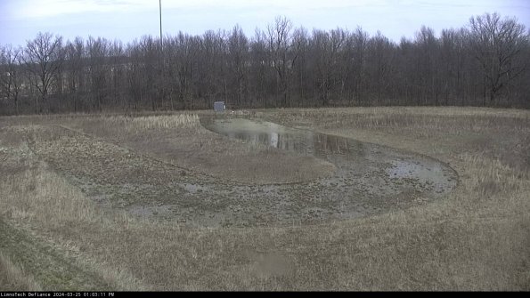 Cell 4_24-03-25_13-03-11-50