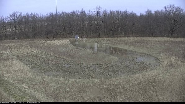 Cell 4_24-03-25_13-36-41-52