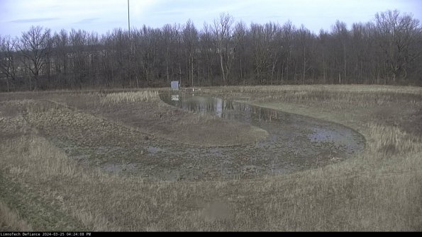 Cell 4_24-03-25_16-24-08-52