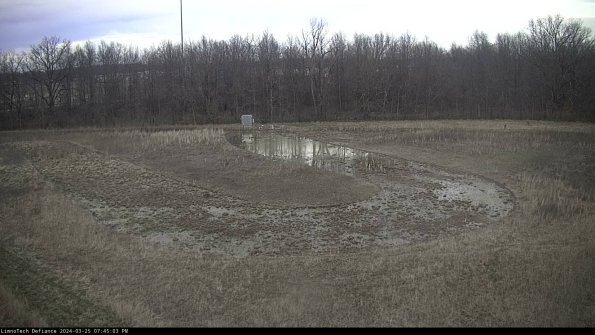 Cell 4_24-03-25_19-45-03-50