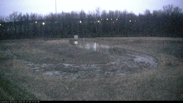 Cell 4_24-03-25_20-18-34-52