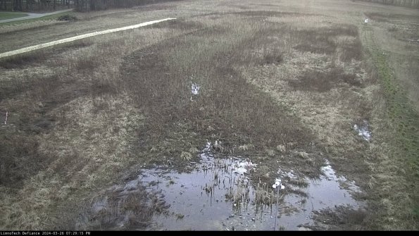 Cell 1_24-03-26_19-29-15-90