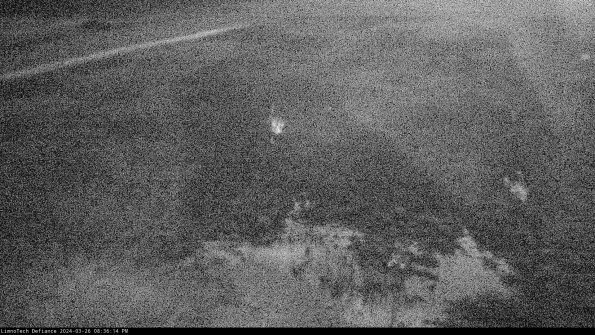 Cell 1_24-03-26_20-36-14-87