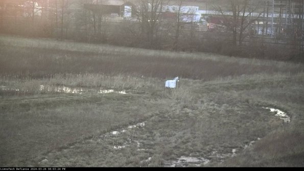 Cell 2 to 3_24-03-26_20-03-24-99