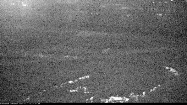 Cell 2 to 3_24-03-26_20-36-55-11