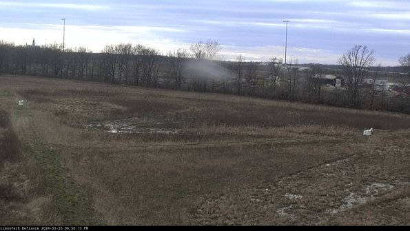 Cell 2_24-03-26_18-56-13-95