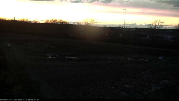 Cell 2_24-03-26_20-03-11-95