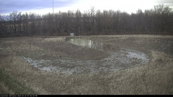 Cell 4_24-03-26_19-30-38-89