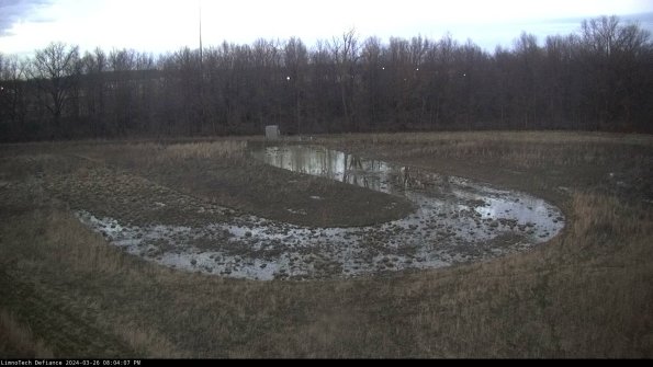 Cell 4_24-03-26_20-04-07-87