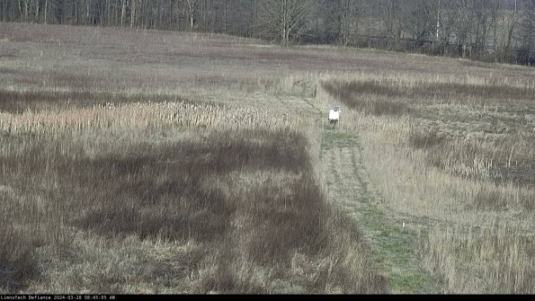 Cell 1 to 2_24-03-28_08-45-06-16