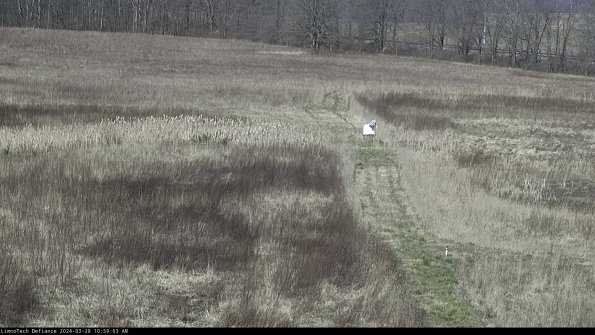 Cell 1 to 2_24-03-28_10-59-04-19