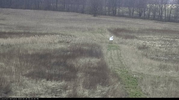 Cell 1 to 2_24-03-28_14-20-01-16