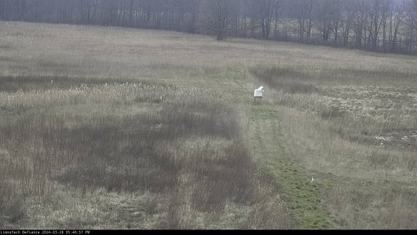 Cell 1 to 2_24-03-28_17-40-58-17