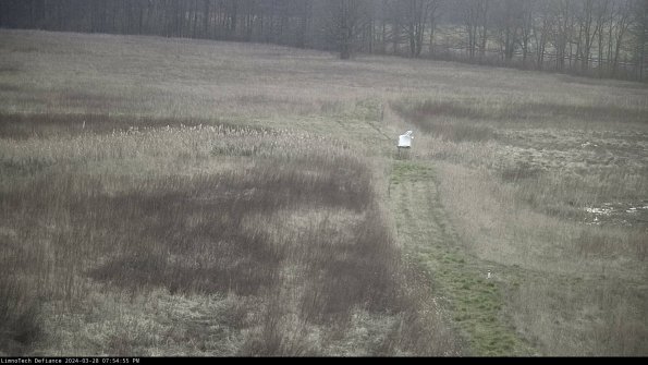 Cell 1 to 2_24-03-28_19-54-56-18