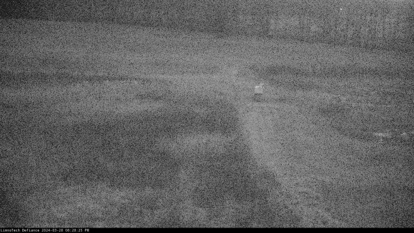 Cell 1 to 2_24-03-28_20-28-26-19