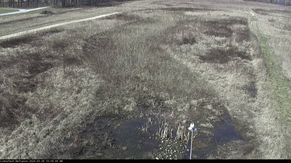 Cell 1_24-03-28_10-58-50-18