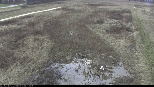 Cell 1_24-03-28_14-19-47-18