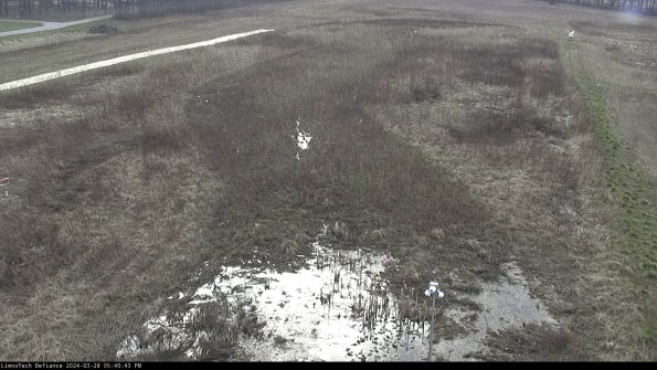 Cell 1_24-03-28_17-40-44-19