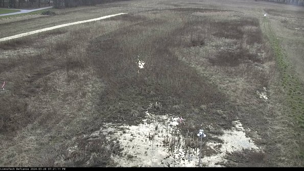 Cell 1_24-03-28_19-21-12-18