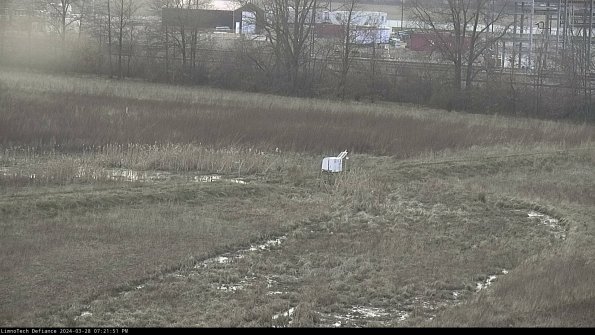 Cell 2 to 3_24-03-28_19-21-52-25