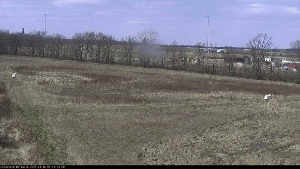 Cell 2_24-03-28_13-13-15-21