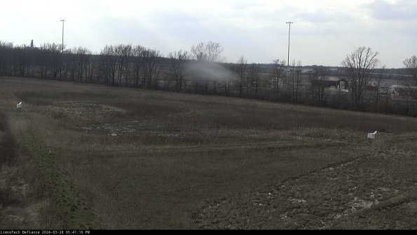 Cell 2_24-03-28_17-41-11-22