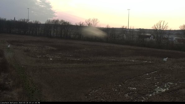 Cell 2_24-03-28_19-21-39-20