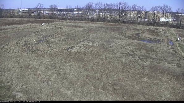 Cell 3_24-03-28_11-33-14-15