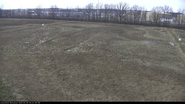 Cell 3_24-03-28_17-41-39-18