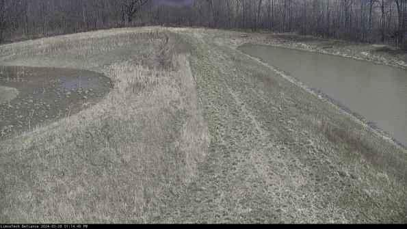 Cell 4 to Basin_24-03-28_13-14-41-16