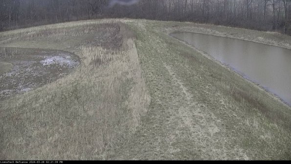 Cell 4 to Basin_24-03-28_14-21-40-16