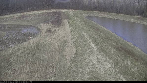 Cell 4 to Basin_24-03-28_17-09-07-19