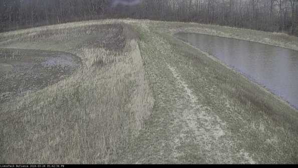 Cell 4 to Basin_24-03-28_17-42-37-17